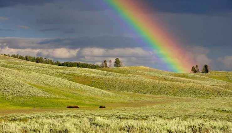 क्या हैं बारिश के बाद आसमान में इंद्रधनुष के बनने का रहस्य?