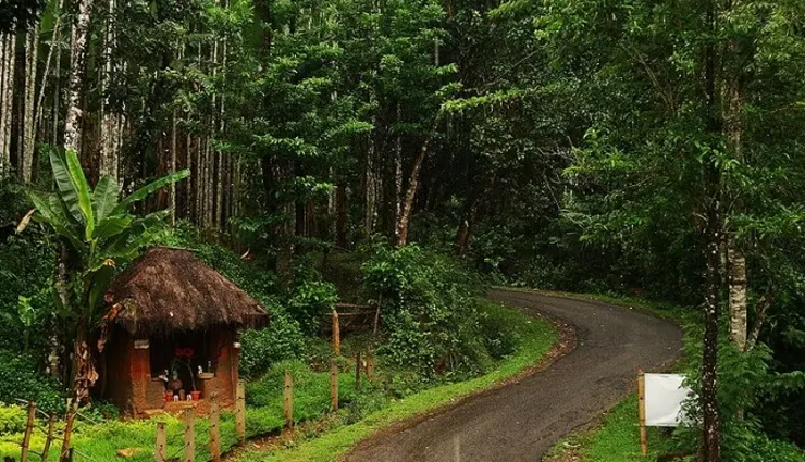 5 Indian Places With Highest Annual Rainfall