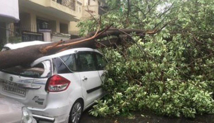 Rainstorms Hit Delhi and Noida, Leading To Trees Uprooted and Vehicles Damage