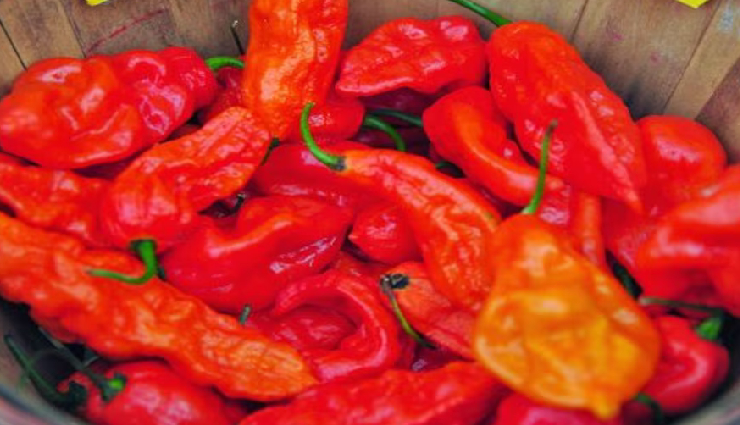 north east india cuisine,north east indian food items,healthy food from north east india,black rice benefits,lakadong turmeric,bamboo shoot recipes,raja chillies health benefits,north east indian spices,smoking meat in north east india,fermented foods in north east india,manipuri black rice,lakadong turmeric uses,bamboo shoot dishes,raja chillies recipes,north east indian culinary traditions