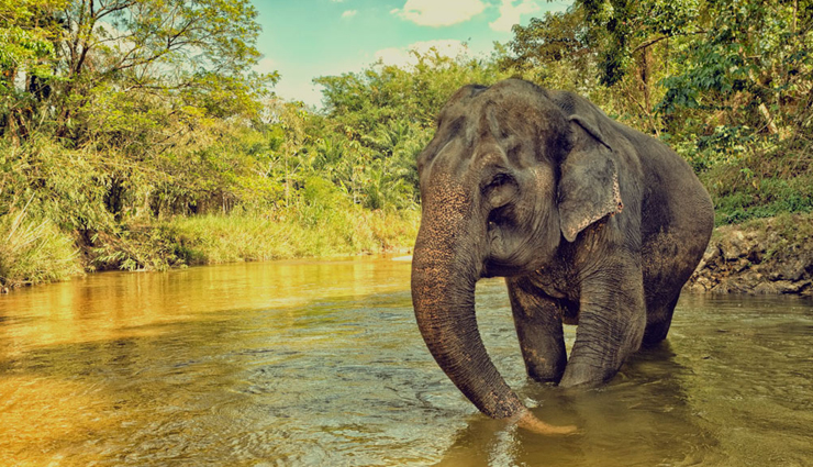 wildlife safaris,adventorus wildlife safari,north india,travel,tourism,india tourism,tourist places in india