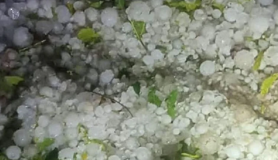 राजस्थान में ओलों और कोहरे का कहर, अगले 48 घंटे में 20 जिलों में फिर बरसेंगे बादल