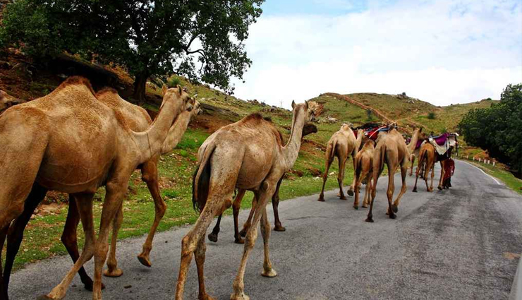 india,explore india,things to do in india,india tourism,tourist places in india,india travel,travel,travel guide