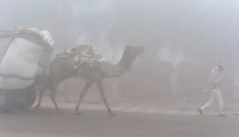 राजस्थान में बढ़ी ठंड, पारा 5 डिग्री तक गिरने का अनुमान; मौसम विभाग ने जारी किया नया अलर्ट