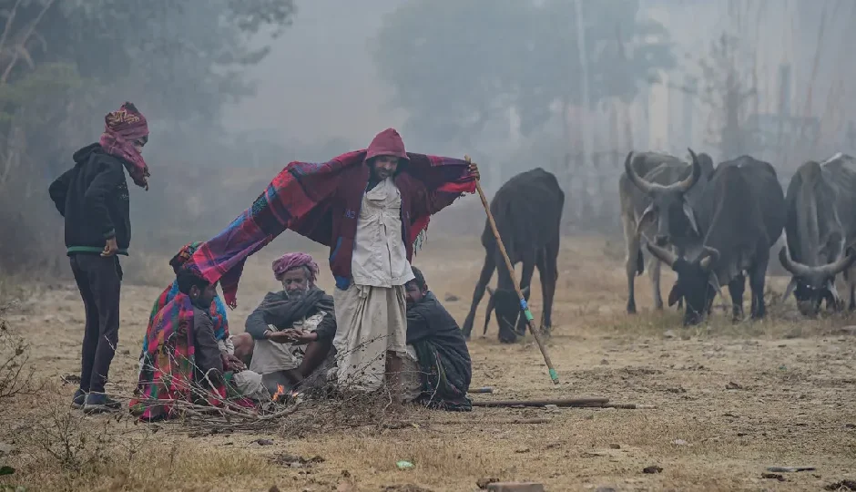राजस्थान में बारिश, कोहरा और ठंडी हवाओं के बीच नए साल का आगाज, IMD ने 18 जिलों में अलर्ट जारी किया