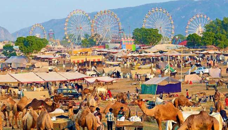 rajasthan is the land of fairs and festivals know the major attractions here,holiday,travel,tourism