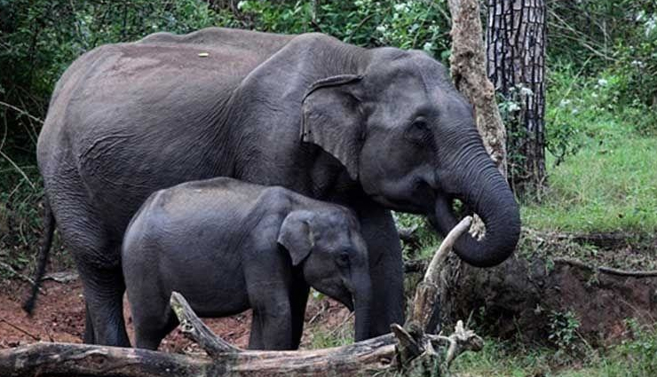 rajgir,bihar,places to visit in rajgir,tourist spots in rajgir