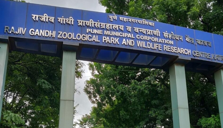 zoo,famous zoo in india,list of famous zoo in india,travel,holidays in india