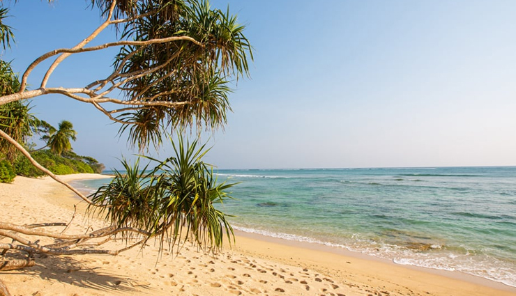 प्राकृतिक सौंदर्य का खजाना है अंडमान का नील द्वीप, आकर्षित करते हैं रेतीले समुद्र तट neil island travel guide,best things to do on neil island,hidden gems of neil island,andaman secret paradiseneil island,uncovering neil island beauty,neil island attractions and activities,neil island for offbeat travelers,neil island beaches and snorkeling spots,insider guide to neil island,neil island natural wonders and cultural experiences