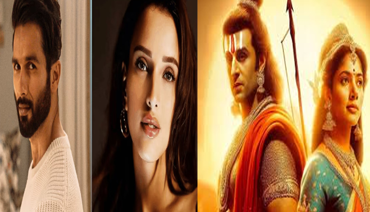 बड़े पर्दे पर नजर आएगी नई ऑन स्क्रीन जोड़ियाँ, रणबीर कपूर के साथ साईं पल्लवी तो शाहिद के साथ तृप्ति डिमरी और. . . .
