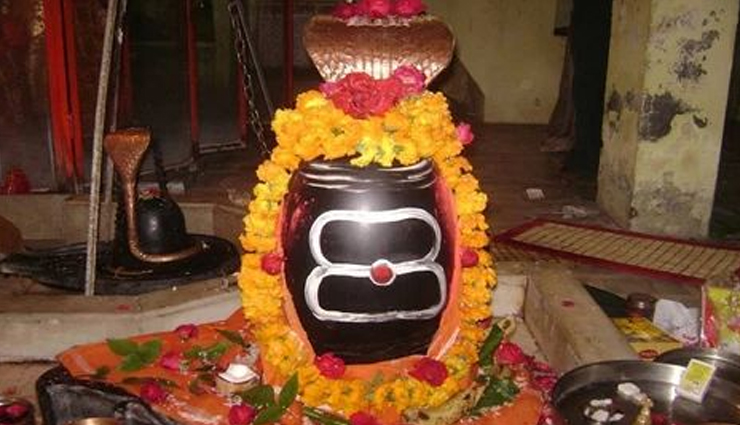 best places to visit in rameswaram,top tourist spots in rameswaram,rameswaram travel guide,must-visit places in rameswaram,rameswaram sightseeing,spiritual sites in rameswaram,adventure activities in rameswaram,historical sites in rameswaram,family trip to rameswaram,romantic getaway in rameswaram