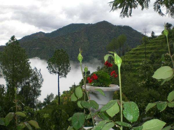 pangot,nainital,uttarakhand,tourist places,pangot tourist places,travel,holidays