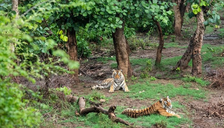 places to explore in bundi,top attractions in bundi,best places to visit in bundi,bundi travel guide,must-see spots in bundi,bundi tourist places,historical sites in bundi,bundi sightseeing,bundi rajasthan attractions,things to do in bundi