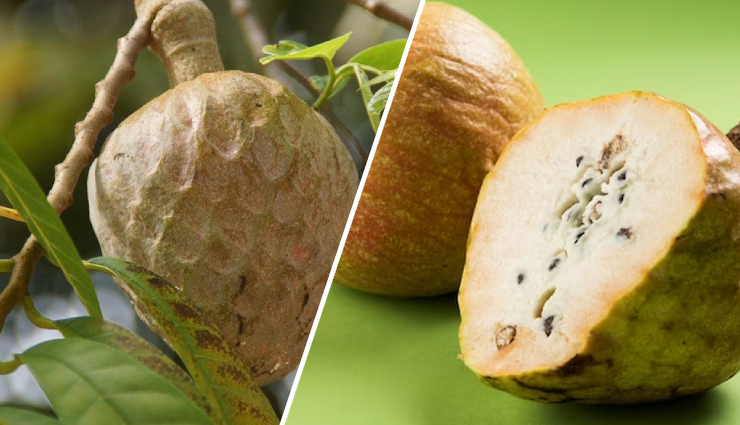 11 Least Known Health Benefits of Ramphal