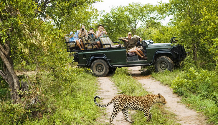 ranakpur tourist attractions,top things to do in ranakpur,ranakpur jain temple visit,jungle safari in ranakpur,trekking routes in ranakpur,best time to visit ranakpur,ranakpur wildlife safari,ranakpur dam sunset views,horse riding tours in ranakpur,ranakpur must-visit places,ranakpur local shopping guide,historical temples in ranakpur,jeep safari in ranakpur forest,ranakpur wolf spotting tours,muchal mahavir temple ranakpur