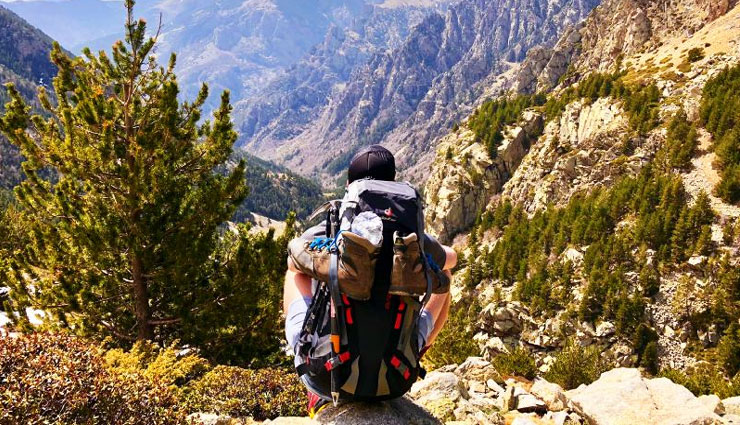 ranakpur tourist attractions,top things to do in ranakpur,ranakpur jain temple visit,jungle safari in ranakpur,trekking routes in ranakpur,best time to visit ranakpur,ranakpur wildlife safari,ranakpur dam sunset views,horse riding tours in ranakpur,ranakpur must-visit places,ranakpur local shopping guide,historical temples in ranakpur,jeep safari in ranakpur forest,ranakpur wolf spotting tours,muchal mahavir temple ranakpur