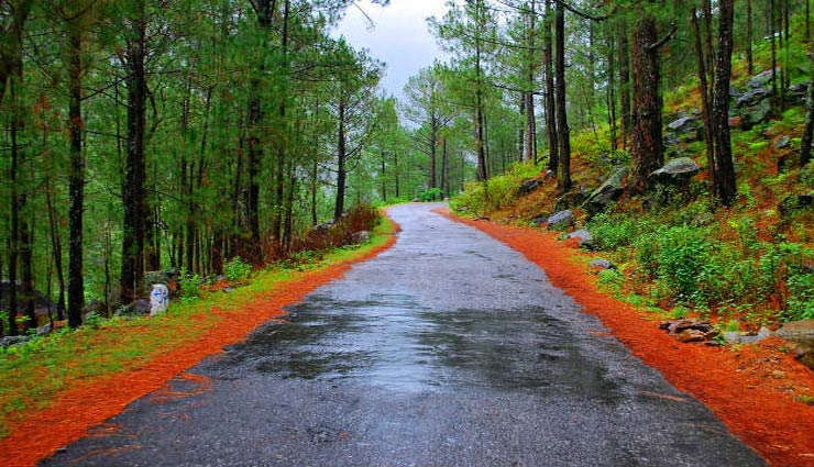 देवदार और बलूत के वृक्षों से घिरा खूबसूरत हिल स्टेशन - रानीखेत