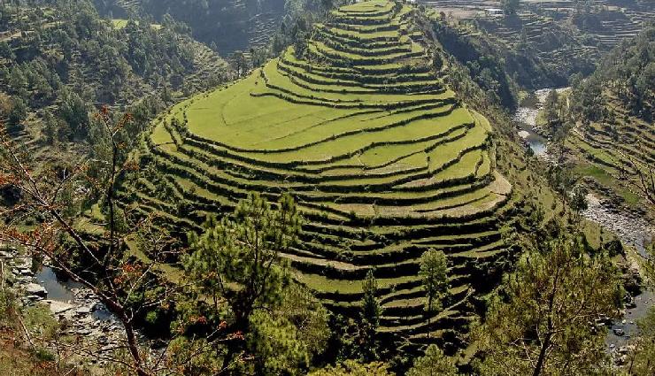 10 Not To Miss Places in Ranikhet