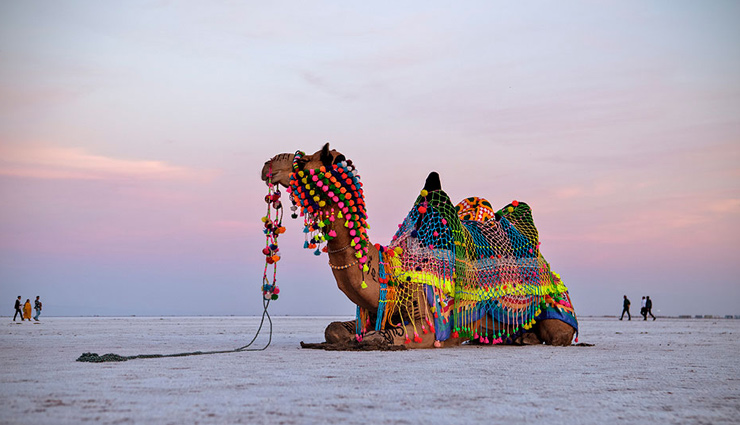 gujarat,gujarat tourism,tourist places in gujarat,holidays in gujarat,gujarat travel,holidays,travel guide,travel tips