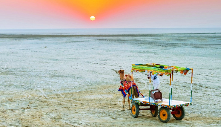 desert safari in india,best desert safaris in rajasthan,adventure travel in the thar desert,camel safari experiences,jeep safari tours in indian deserts,cultural immersion in desert villages,top destinations for desert adventures,thrilling dune bashing experiences,offbeat desert safari destinations,eco-friendly desert safari camps