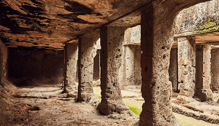 rann utsav,places to visit during rann utsav,black magnetic mountains,birders paradise at mandvi,unearthing history at dholavira,ancient buddhist paintings at siyot,spotting the rare indian bustard