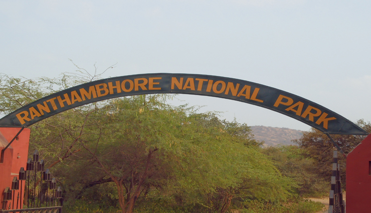 udaipur,udaipur travel,udaipur travel diary,travel destination in udaipur,udaipr travel tips,tourism,tourist places in udaipur,holidays in udaipur,india tourism,weekend getaway destinations udaipur