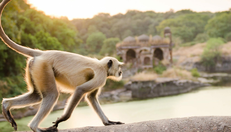 natural wonders,natural wonders to visit in india,india travel,holidays in india,places to visit in india,natural wonders in india,travel,travel guide,travel tips,tourism