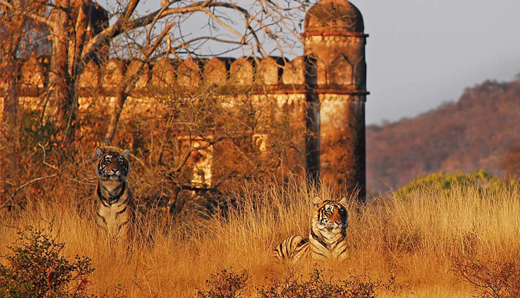 rajasthan winter travel,pushkar camel fair december,jaipur pink city attractions,mewar unesco heritage sites,udaipur city of lakes,ranthambore national park safari,jaisalmer sand dunes exploration,jodhpur sun city landmarks,bharatpur keoladeo national park,bikaner desert landscapes,rajasthan december itinerary,winter in rajasthan travel tips,rajasthani culture and heritage,rajasthan historical destinations,rajasthan winter sightseeing,wildlife safari in rajasthan,rajasthan forts and palaces,rajasthan cultural experiences,rajasthan traditional cuisine,rajasthan architectural wonders