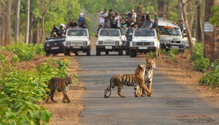 weekend getaways from jaipurs,places nearby jaipur,jaipur and surroundings,must visit places near jaipur,ajmer,pushkar,ranthambore national park,udaipur,chittorgarh