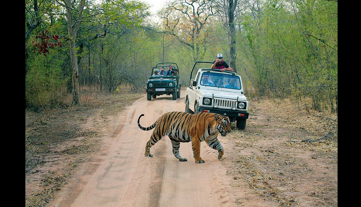 wildlife sanctuaries in india,wildlife sanctuaries to visit in winters,winter holidays destinations,winter holidays