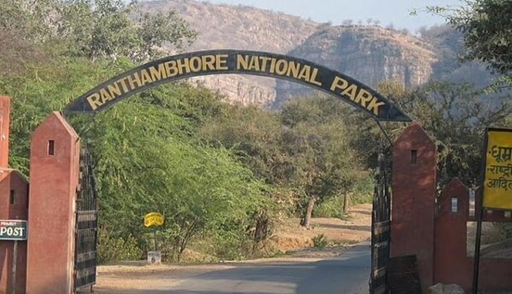5 Reasons Why Ranthambore is The Most Visit National Park in India