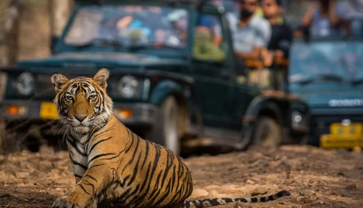 ranthambore,ranthambore national park,reason why ranthambore national park,national park,travel,travel tips,holidays,travel guide