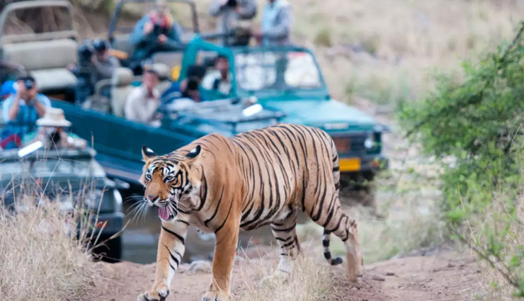 national parks of the country to see extinct animals,holidays,travel,tourism