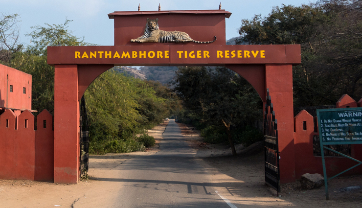 rajasthan,ranthambore,tourist places in ranthambore,rajasthan tourism,holidays in rajasthan