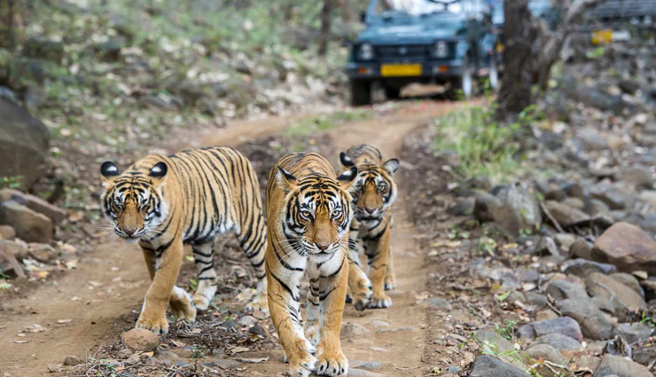 weekend getaways from jaipur,jaipur quick trips,best escapes near jaipur,weekend destinations from jaipur,jaipur nearby travel spots,jaipur weekend retreats,quick getaways from jaipur,jaipur short trips,places to visit near jaipur in weekends,jaipur weekend travel guide