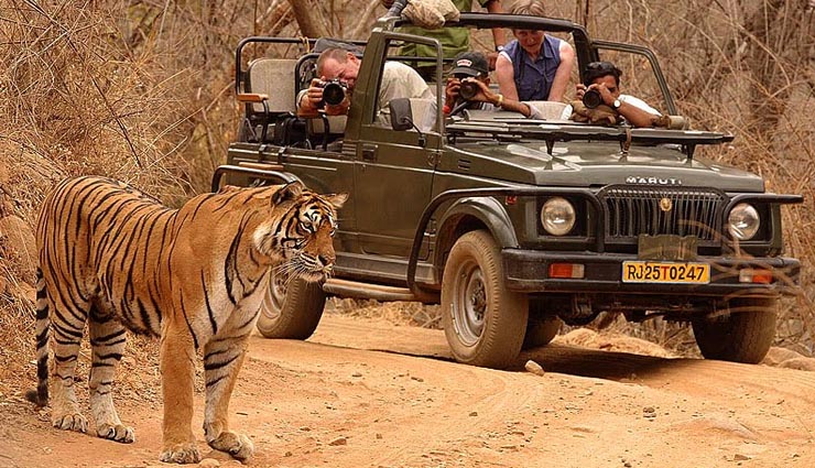 winters in india,places to visit,lucknow,uttar pradesh,thrissur,kerala,murudeshwar,karnataka,ranthambore,rajasthan,patnitop,jammu and kashmir,holidays