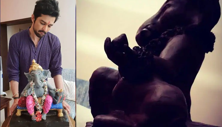 ganesh chaturthi 2019,raqest bapat,eco friendly bappa,tv celeb,entertainment