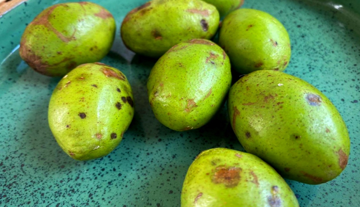 rare indian fruits,indian fruits,pomelo,khirni,bael wood apple,indian hog plum,persimmon,fingered citron