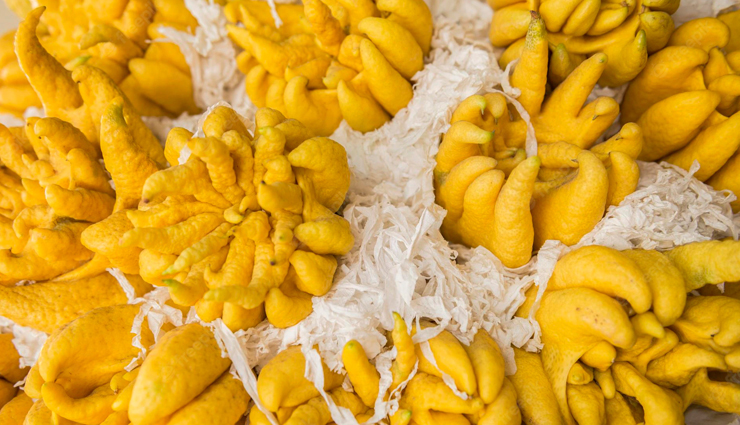 rare indian fruits,indian fruits,pomelo,khirni,bael wood apple,indian hog plum,persimmon,fingered citron