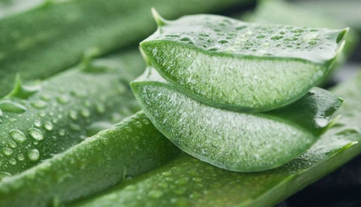 aloe vera,clay,mint leaves,garlic and honey paste,neem oil,natural remedies,natural remedies to treat rashes on inner thighs,rashes on inner thighs,Health tips,fitness tips