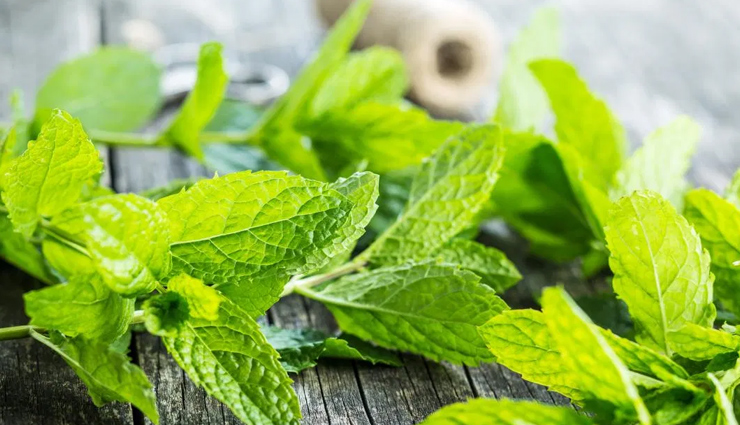 aloe vera,clay,mint leaves,garlic and honey paste,neem oil,natural remedies,natural remedies to treat rashes on inner thighs,rashes on inner thighs,Health tips,fitness tips