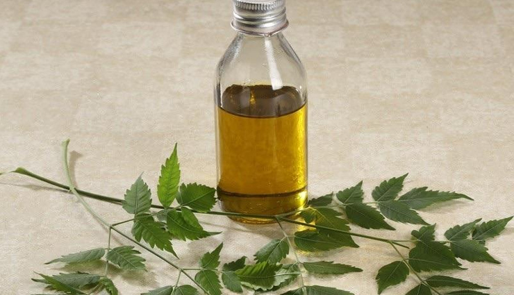 aloe vera,clay,mint leaves,garlic and honey paste,neem oil,natural remedies,natural remedies to treat rashes on inner thighs,rashes on inner thighs,Health tips,fitness tips