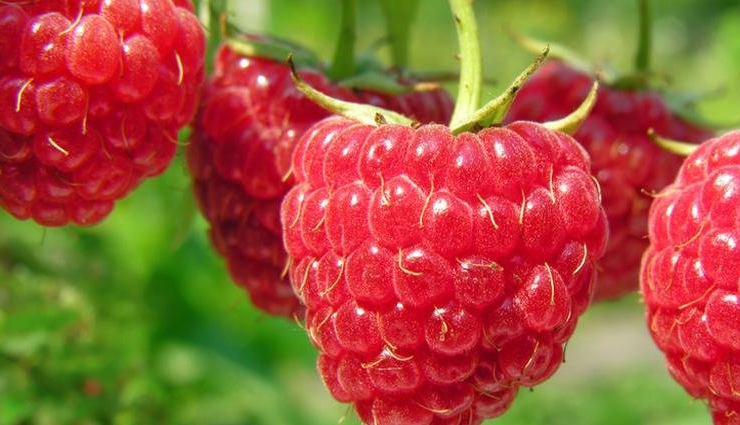 chapped lips,balms to get rid of chapped lips,beauty,beauty tips,skin care tips