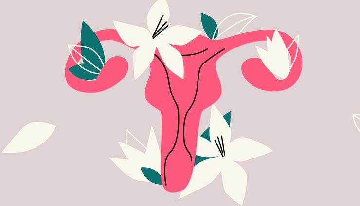 health benefits of raspberry,raspberry,Health tips,fitness tips