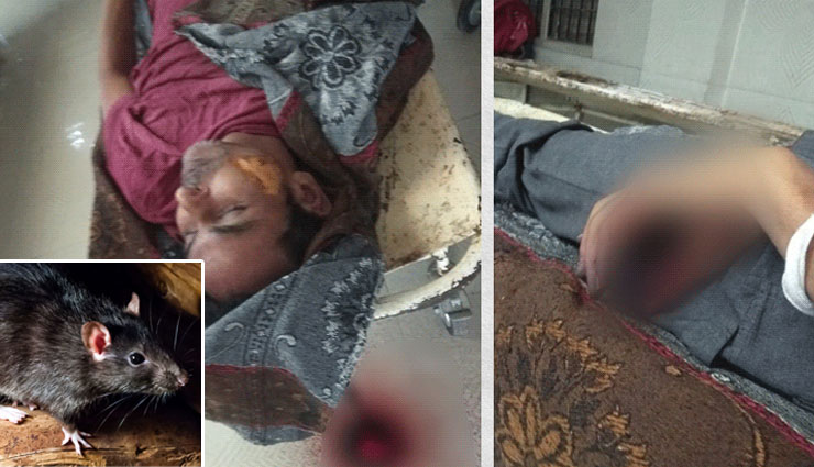इंदौर: जिला अस्पताल की मॉर्चुरी में चूहों ने कुतर दिया शव, चेहरे और हाथ से रिस रहा था खून