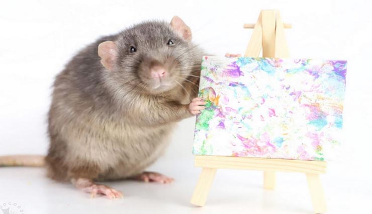 weird news,weird information,weird mouse,mouse as painter