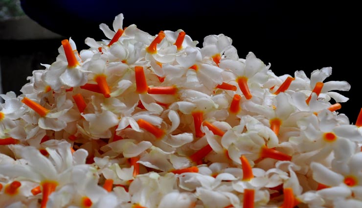 vastu tips,vastu tips in hindi,destiny by flowers,fortune by flowers,positivity by flowers