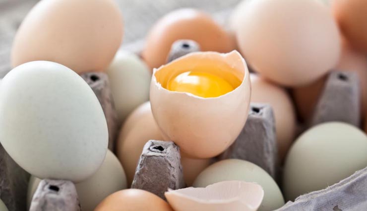 food dangerous for your dogs,dog health tips