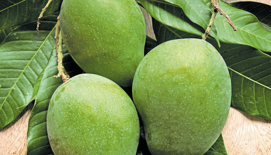 raw mango candy,raw mango candy delicious,raw mango candy ingredients,raw mango candy recipe,raw mango candy children,raw mango candy summer,raw mango candy dish