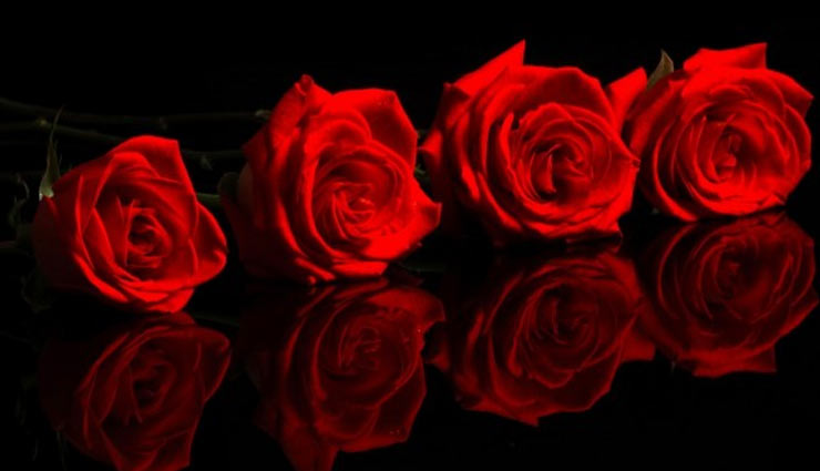 valentines day,valentines week,rose day,roses,color of roses